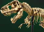 LEGO Jurassic World 76968 Fosil Dinosaurus: Tyrannosaurus Rex