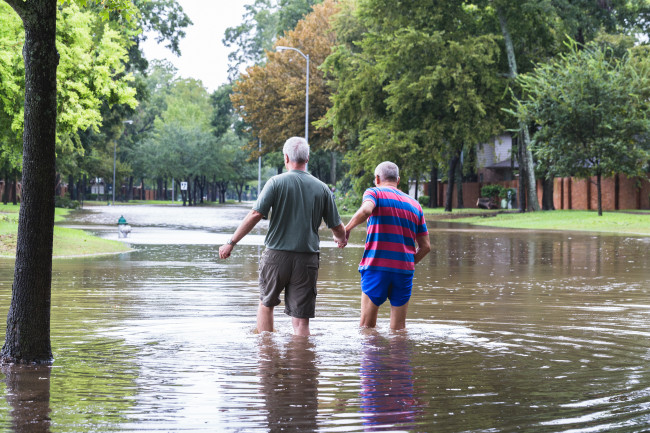 Krisis iklim menimbulkan ancaman yang meningkat bagi demokrasi, menurut laporan baru