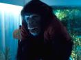 Primate 